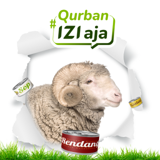 qurban sapi