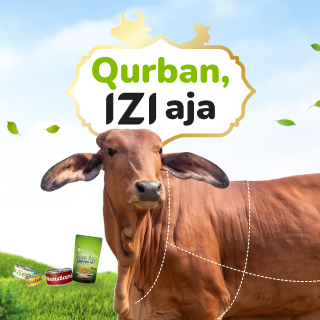 qurban sapi