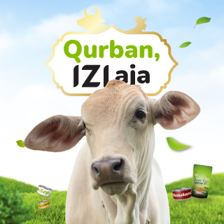 qurban sapi