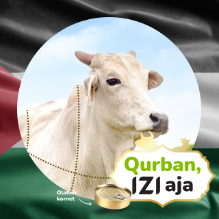 qurban sapi