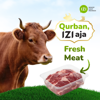 qurban sapi