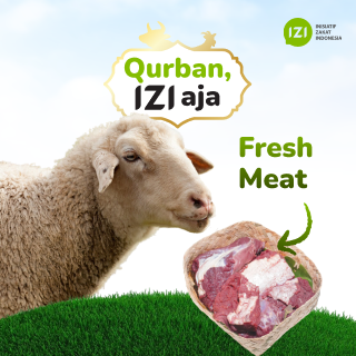 qurban sapi