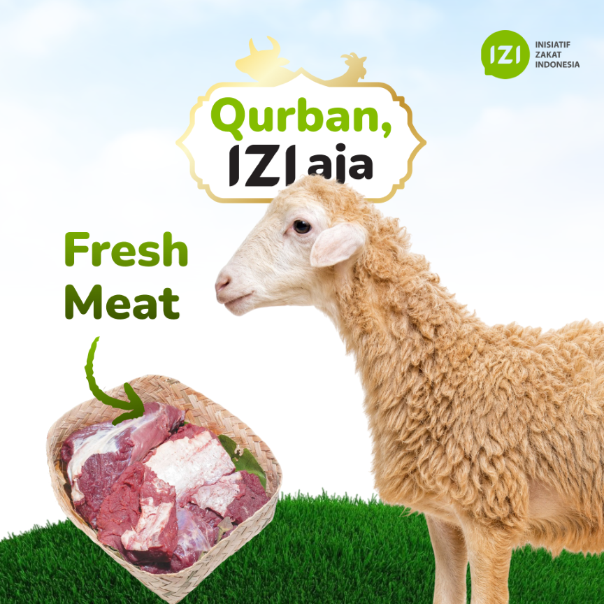qurban sapi
